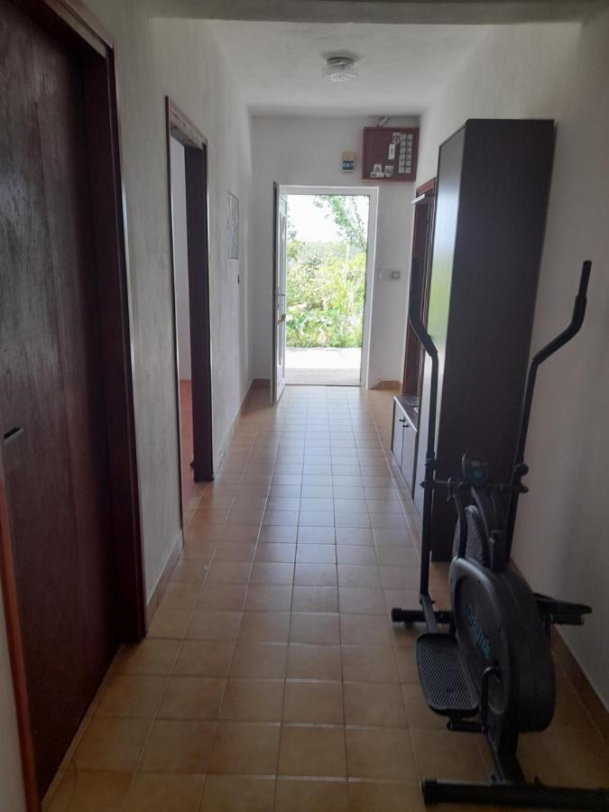 Apartman Natali Apartamento Skradin Exterior foto